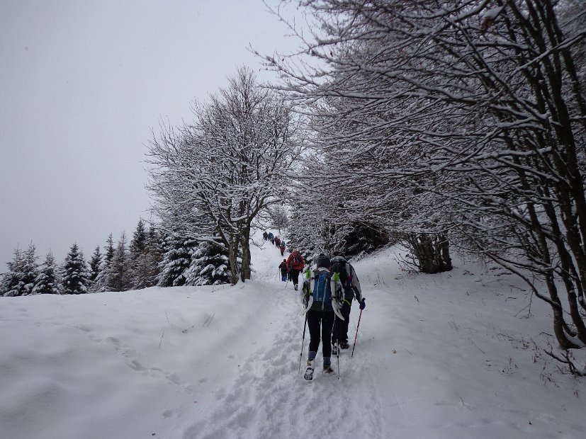 15 verso il Zuc di Valbona